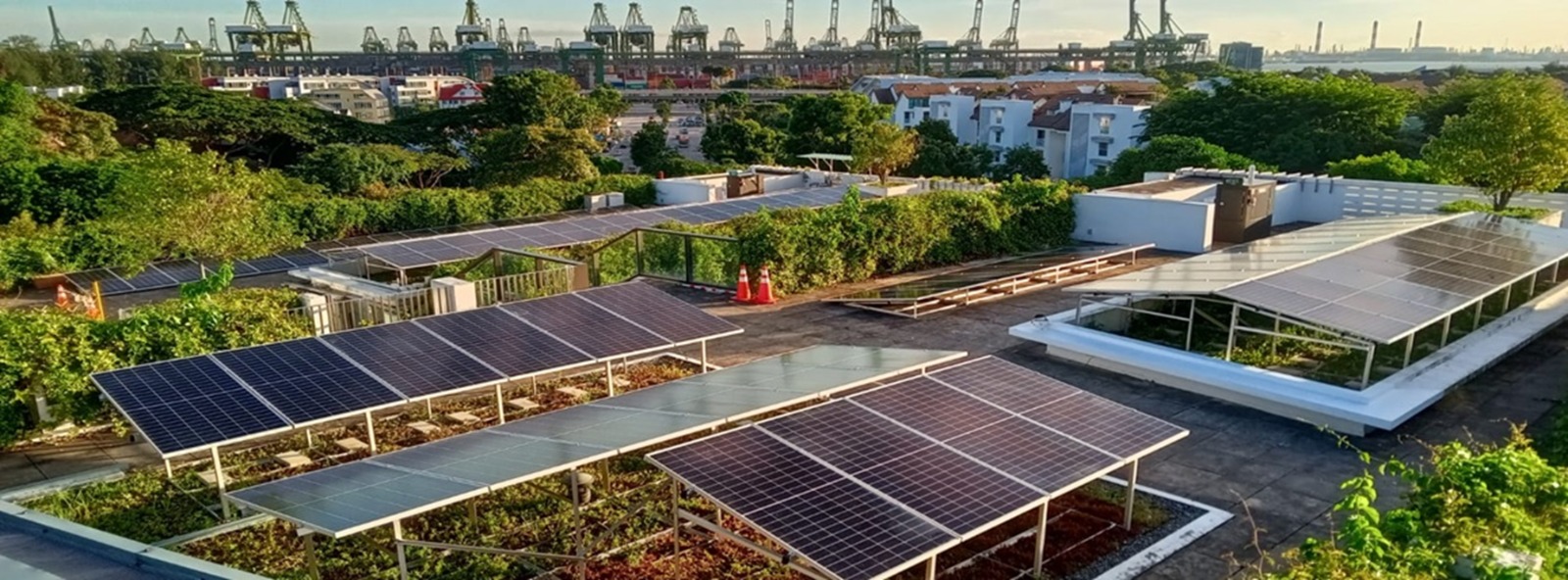Renewables